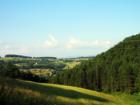 Tara - Kaluđerske Bare