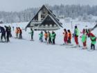 Tara - Mitrovac - skijanje