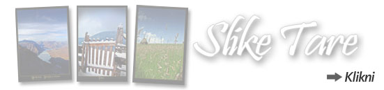 Slike Tare na sajtu www.tara-planina.com