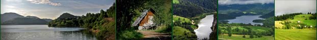 Tara planina - Zaovine